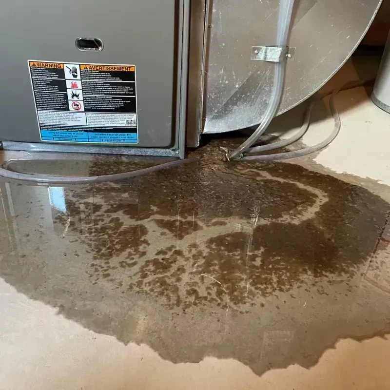 Appliance Leak Cleanup in Wayne County, KY